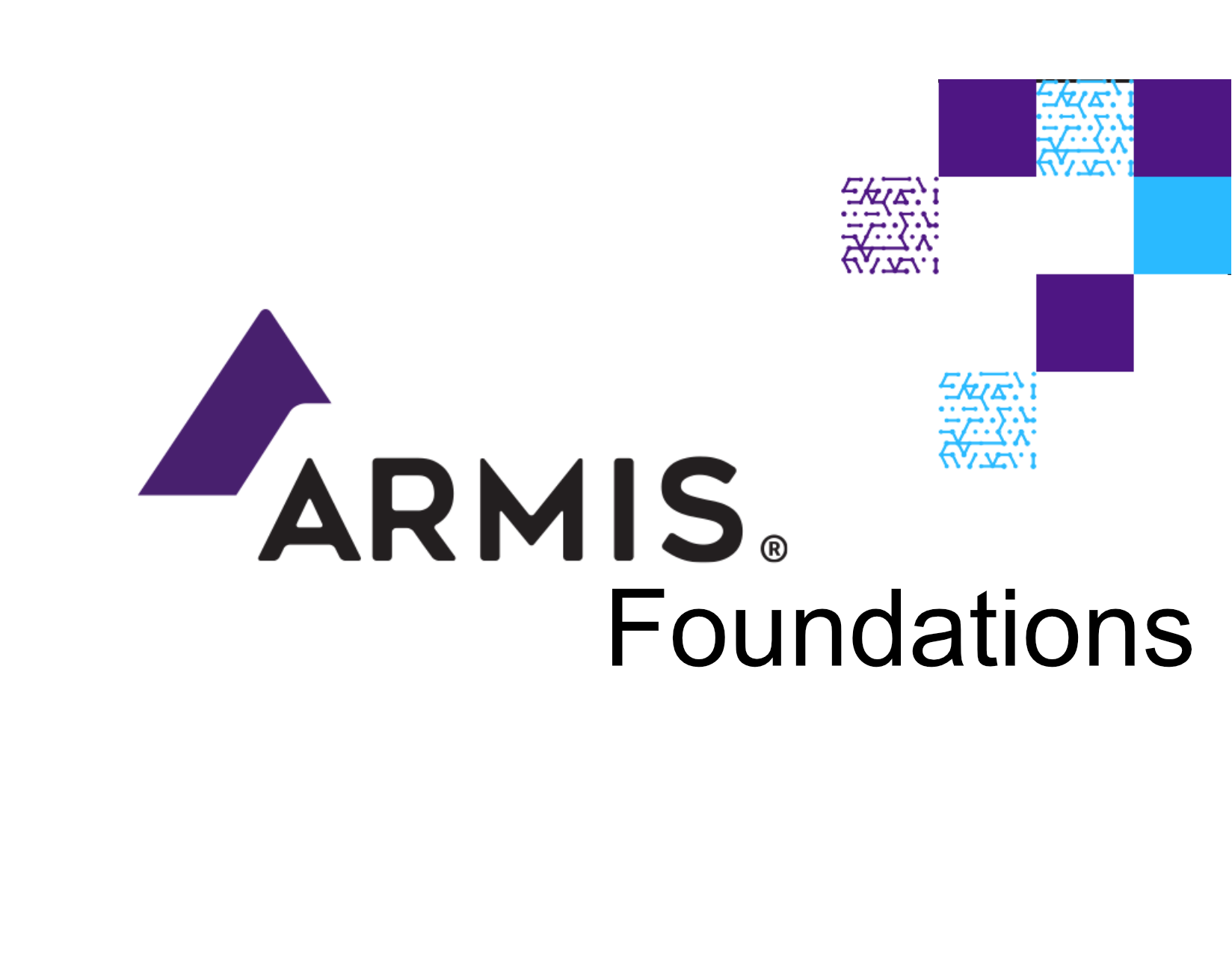 Click to view the full Armis Foudations Course